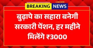 सरकारी पेंशन