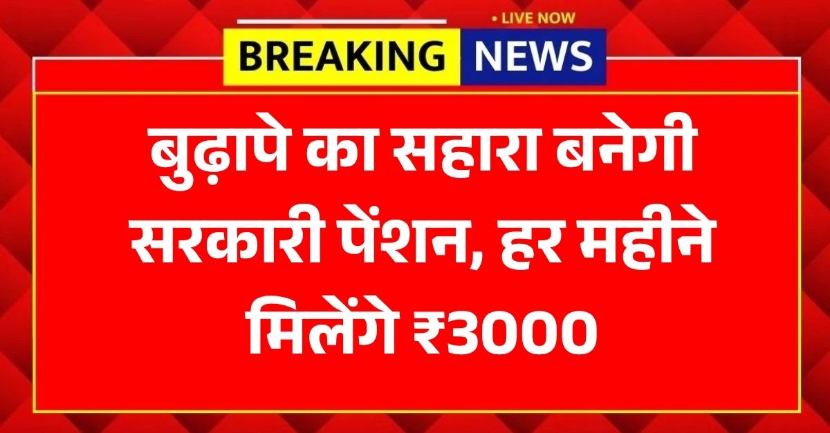 सरकारी पेंशन