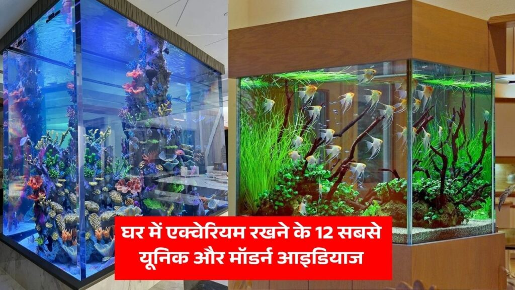 Aquarium Design for Home